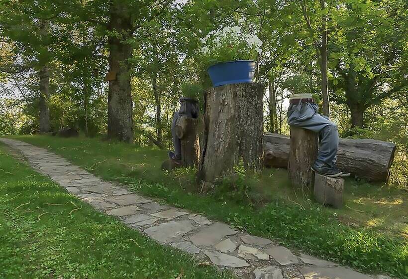 Cabañas De Madera Sanabria