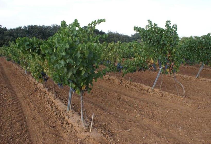 Casa Rural Magnanimvs