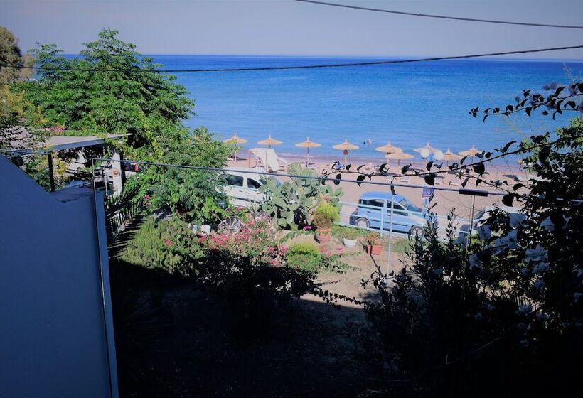 בית מלון כפרי Delfini Beach