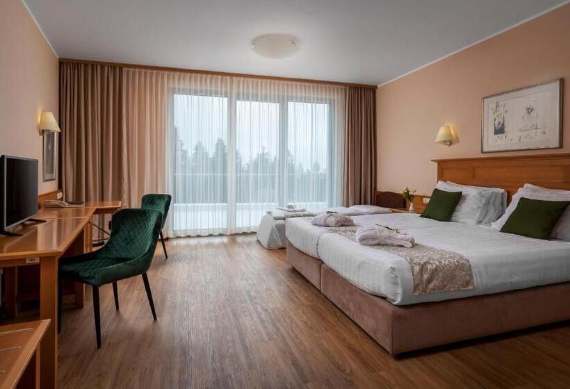 Grand Hotel Bellevue