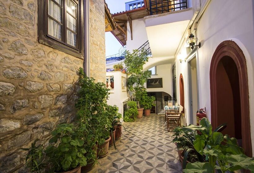 호텔 Achilleas Pension