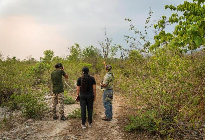 فندق Alaya Resorts & Spa