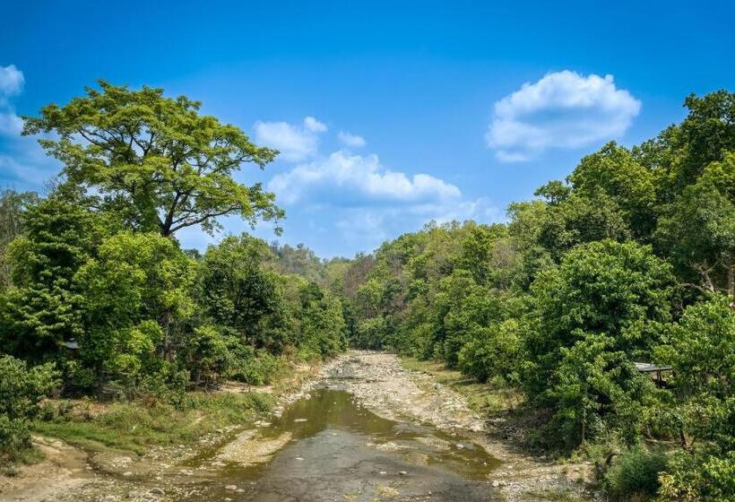 فندق Alaya Resorts & Spa