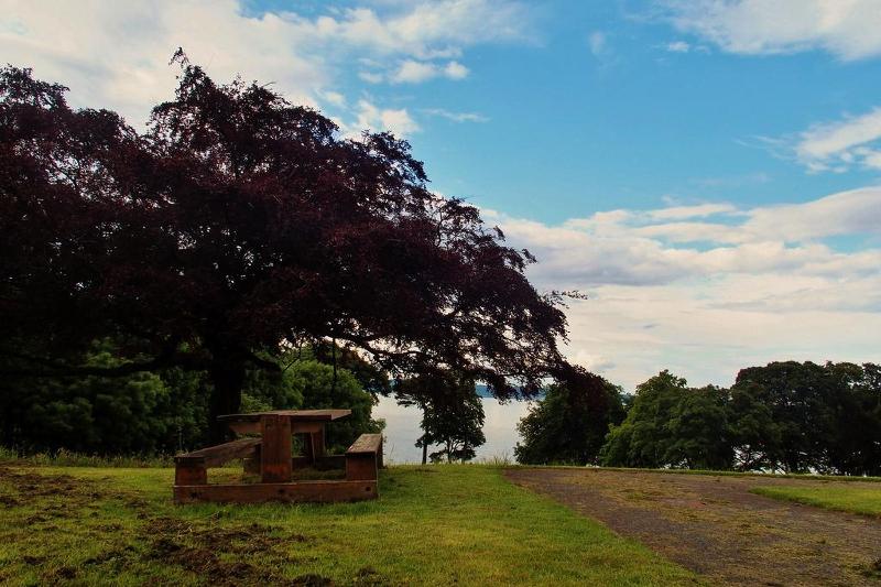 酒店 Almond House Lodge