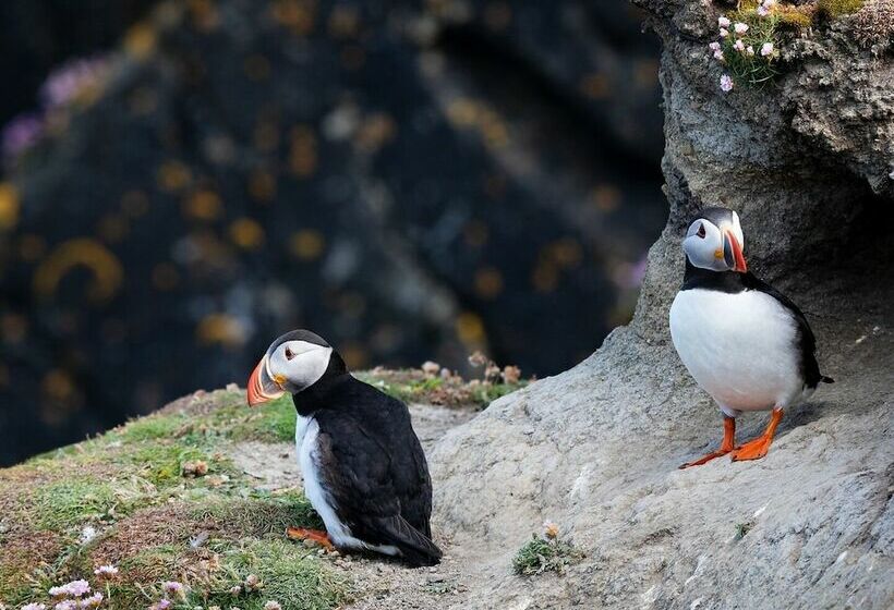 酒店 Clifton Cottage