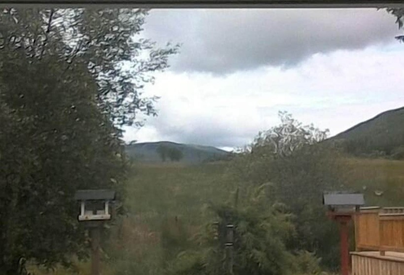 فندق Clifton Cottage