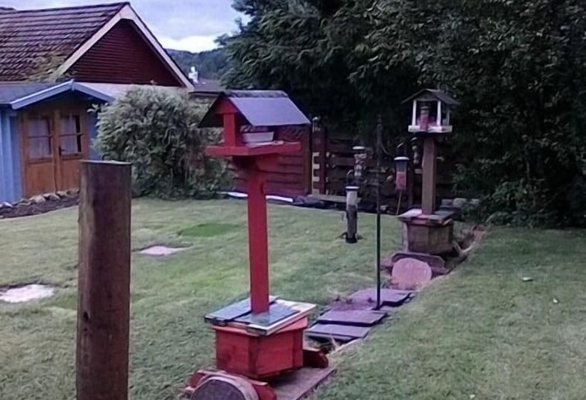 酒店 Clifton Cottage