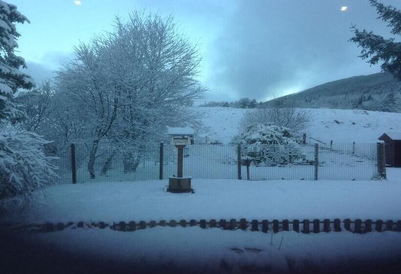 酒店 Clifton Cottage