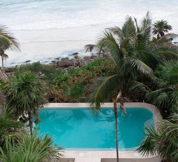 בית מלון כפרי Diamante K   Inside Tulum National Park