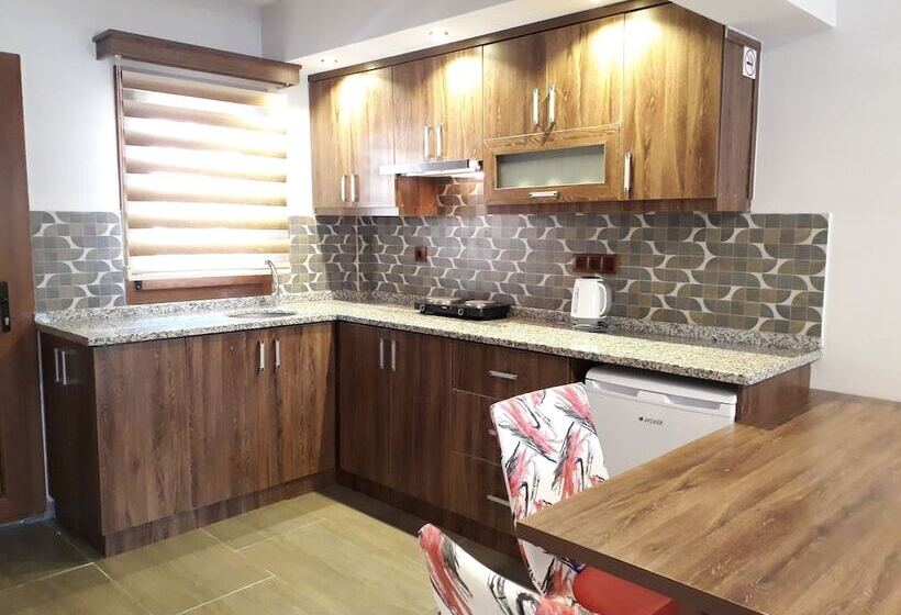 ホテル Dolphin Apart &