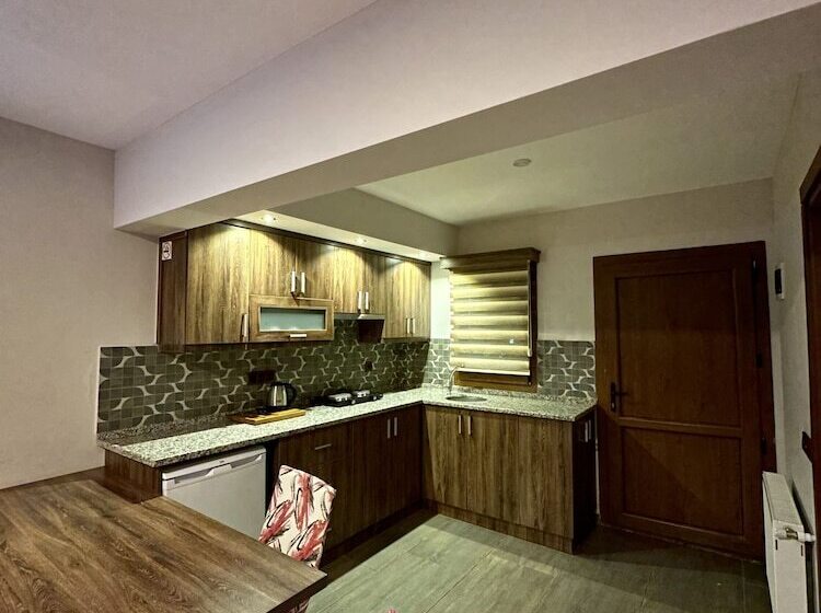 ホテル Dolphin Apart &