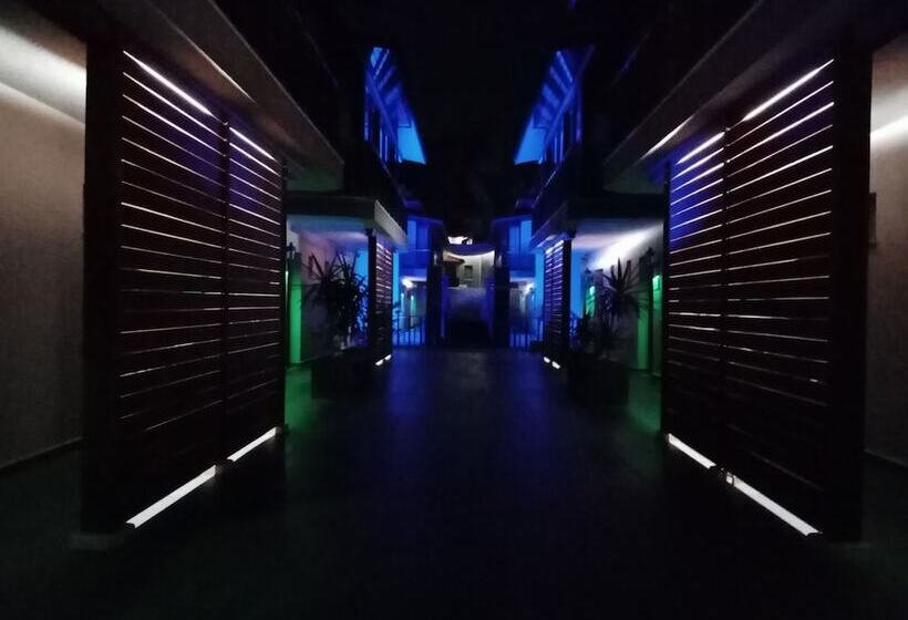 ホテル Dolphin Apart &