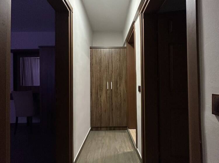 ホテル Dolphin Apart &