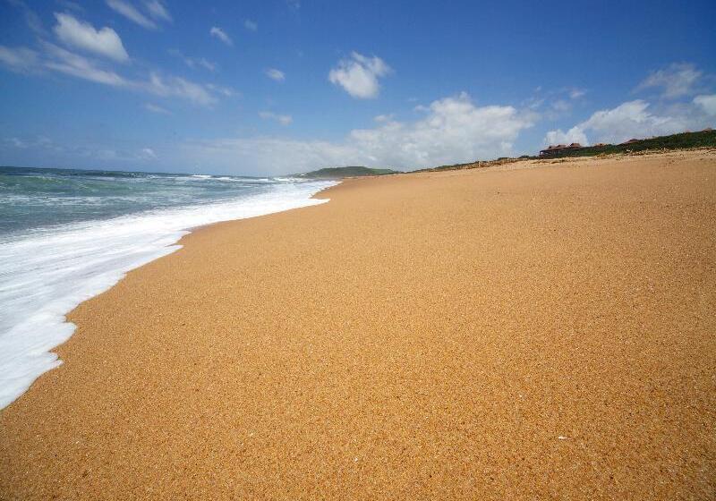 酒店 Fairmont Zimbali Resort