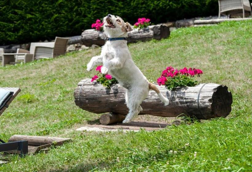 בית מלון כפרי Garni Cristallo