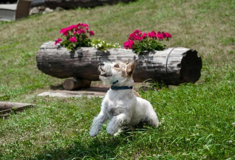 ホテル Garni Cristallo