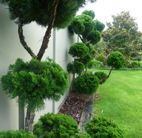 ホテル Hadleigh Boutique Lodge