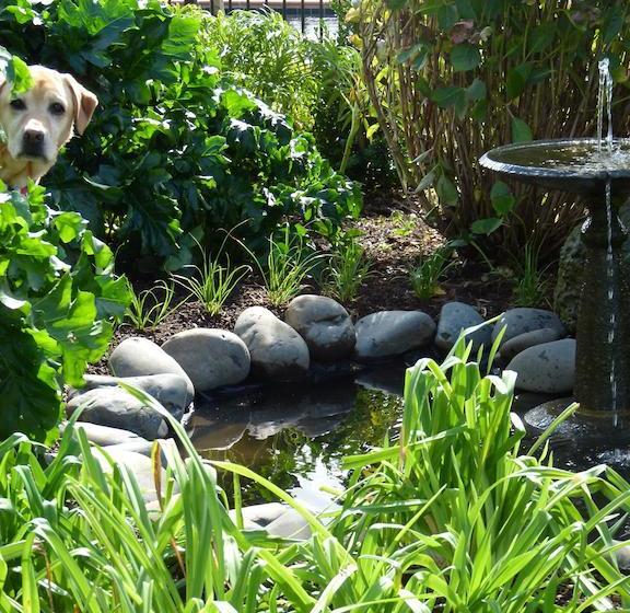 ホテル Hadleigh Boutique Lodge