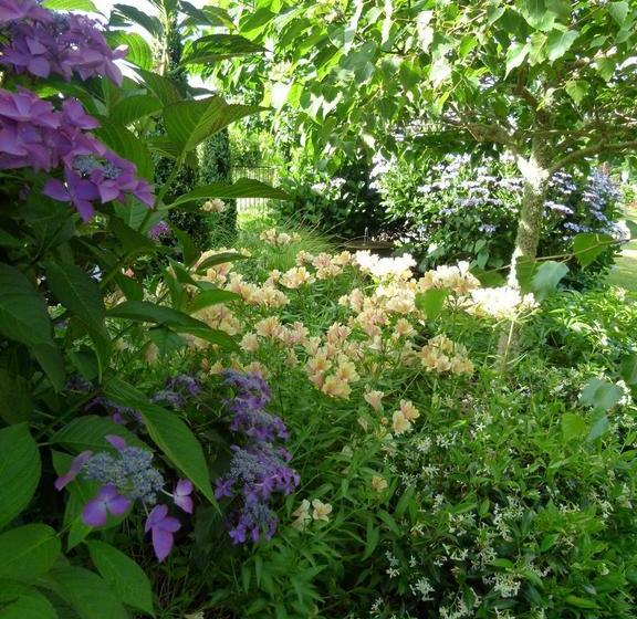 ホテル Hadleigh Boutique Lodge