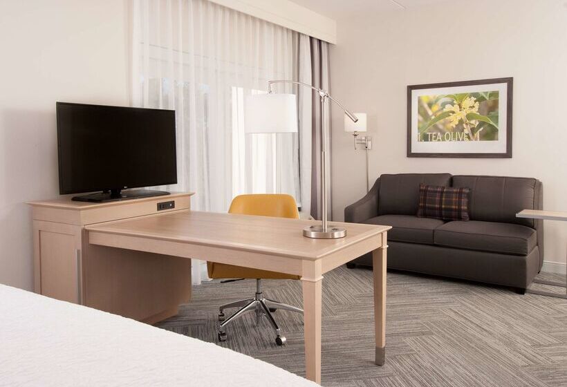 Отель Hampton Inn & Suites By Hilton Augustawashington Rd