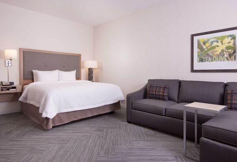 Отель Hampton Inn & Suites By Hilton Augustawashington Rd