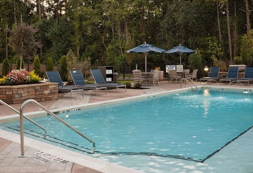 هتل Hampton Inn & Suites By Hilton Augustawashington Rd