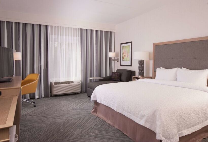 هتل Hampton Inn & Suites By Hilton Augustawashington Rd