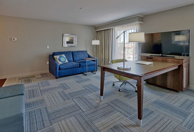 호텔 Hampton Inn & Suites Las Cruces I10