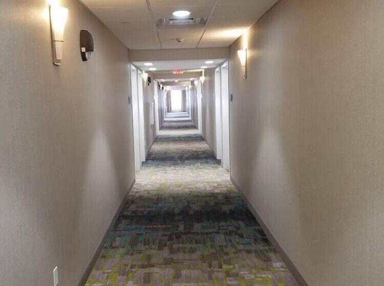 호텔 Hampton Inn & Suites Las Cruces I10