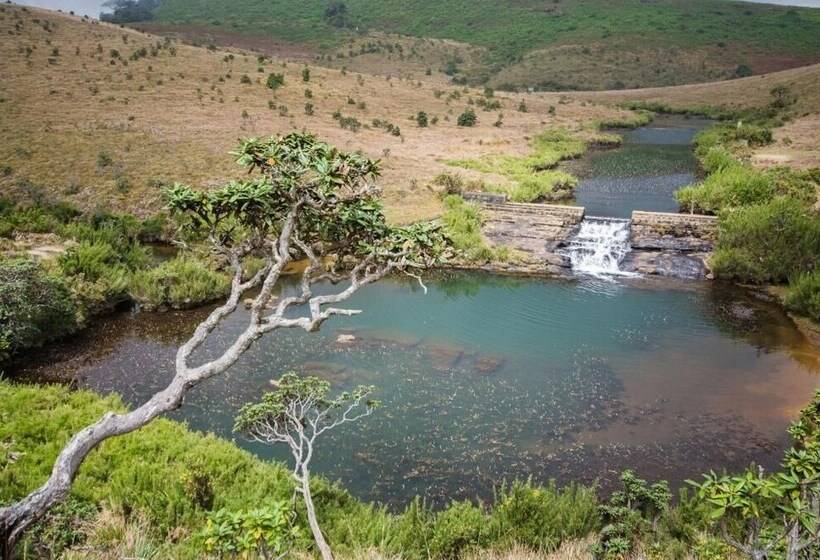 Отель Hill Pride City