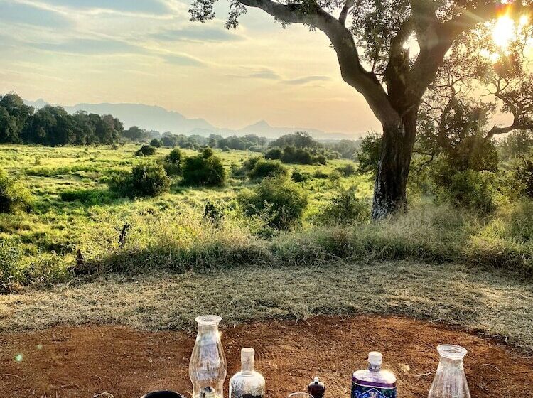 Отель Karongwe Portfolio Karongwe River Lodge