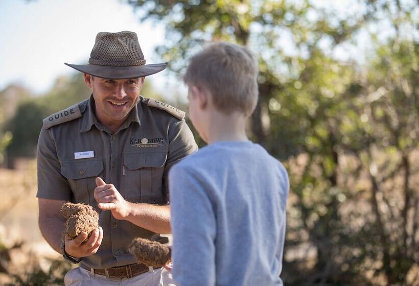 Отель Karongwe Portfolio Karongwe River Lodge