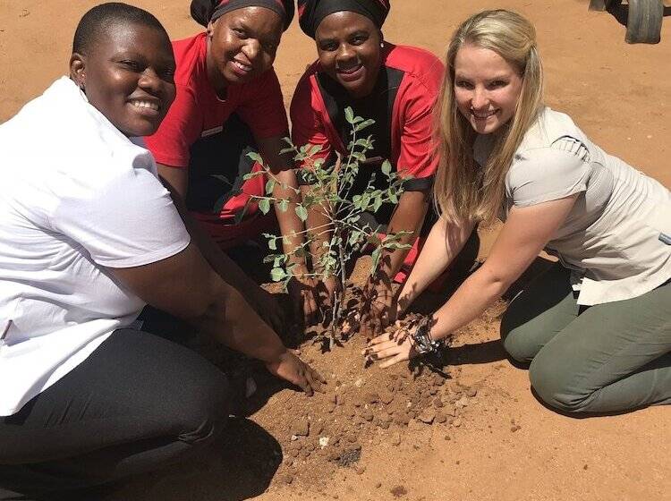 Отель Karongwe Portfolio Karongwe River Lodge