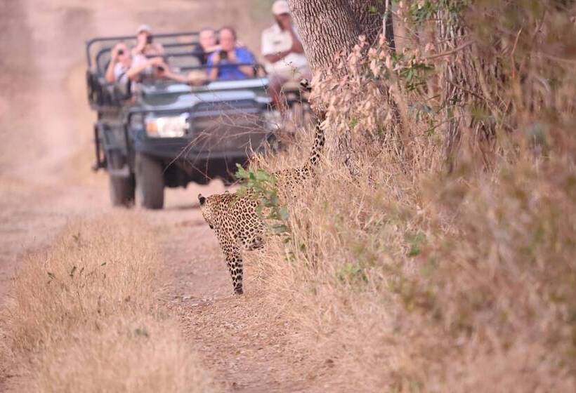 Отель Karongwe Portfolio Karongwe River Lodge