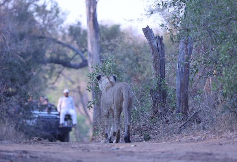 Отель Karongwe Portfolio Karongwe River Lodge