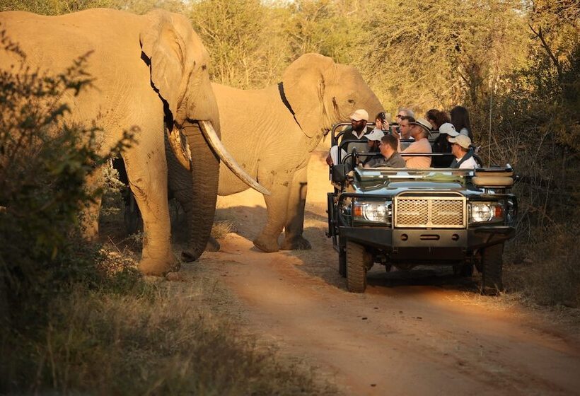 Отель Karongwe Portfolio Karongwe River Lodge