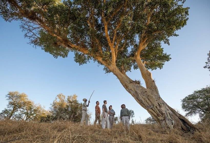 Отель Karongwe Portfolio Karongwe River Lodge