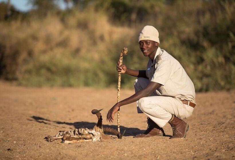 Отель Karongwe Portfolio Karongwe River Lodge