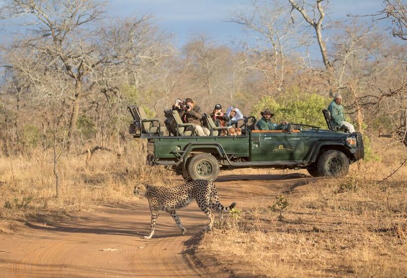 Отель Karongwe Portfolio Karongwe River Lodge