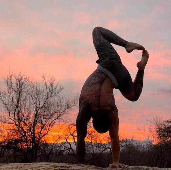 Отель Karongwe Portfolio Karongwe River Lodge