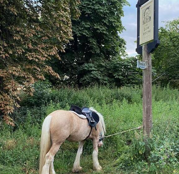 בית מלון כפרי Kings Head Low House