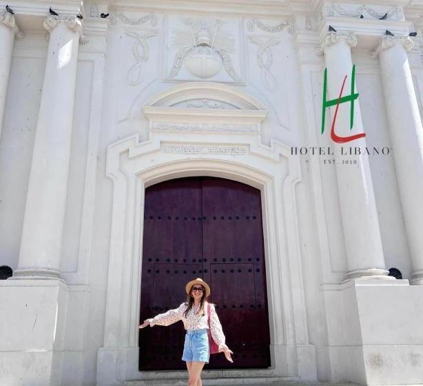 فندق Libano