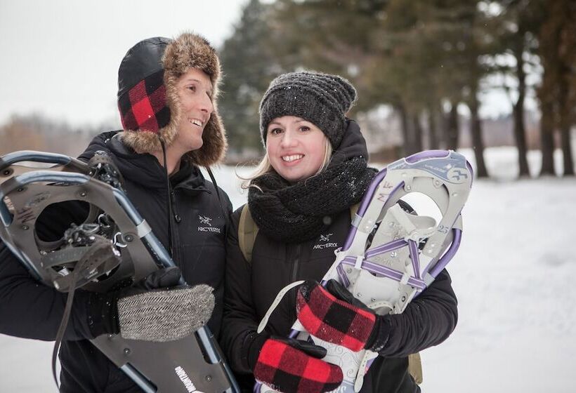 Отель Montfort Nicolet