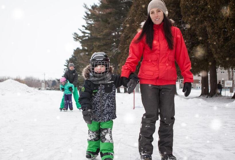 Отель Montfort Nicolet