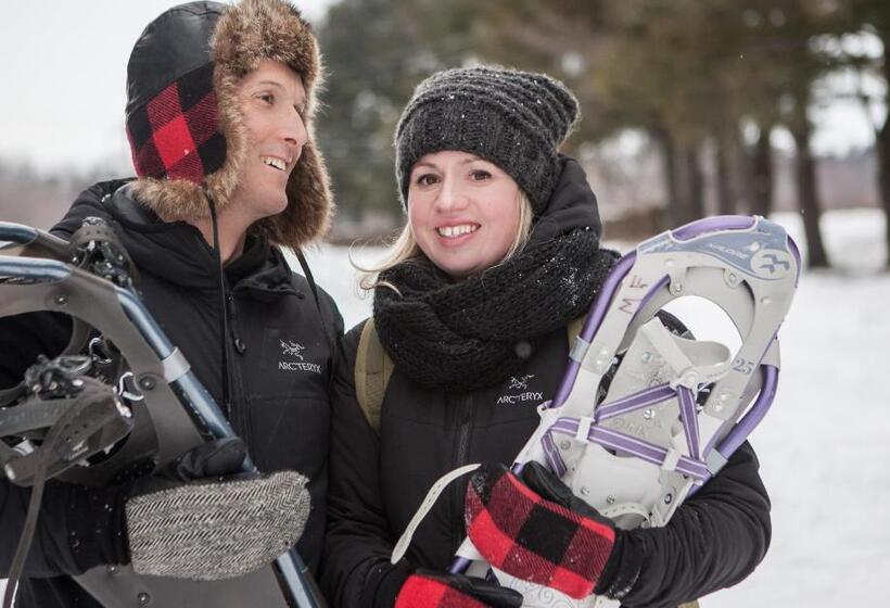 Отель Montfort Nicolet