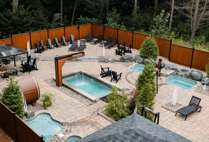 Отель Montfort Nicolet