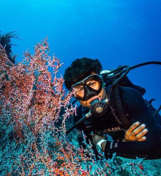 호텔 Oceans 5 Dive Resort