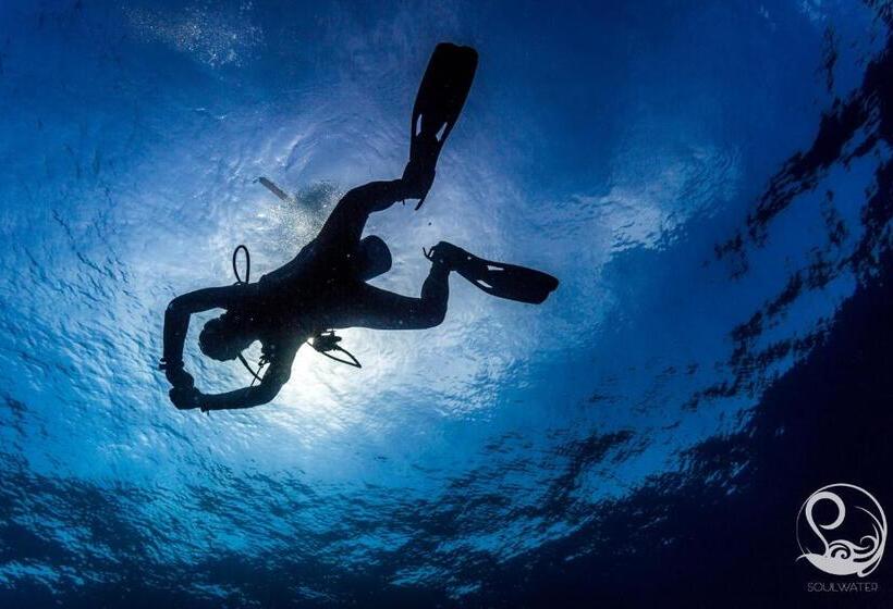 호텔 Oceans 5 Dive Resort