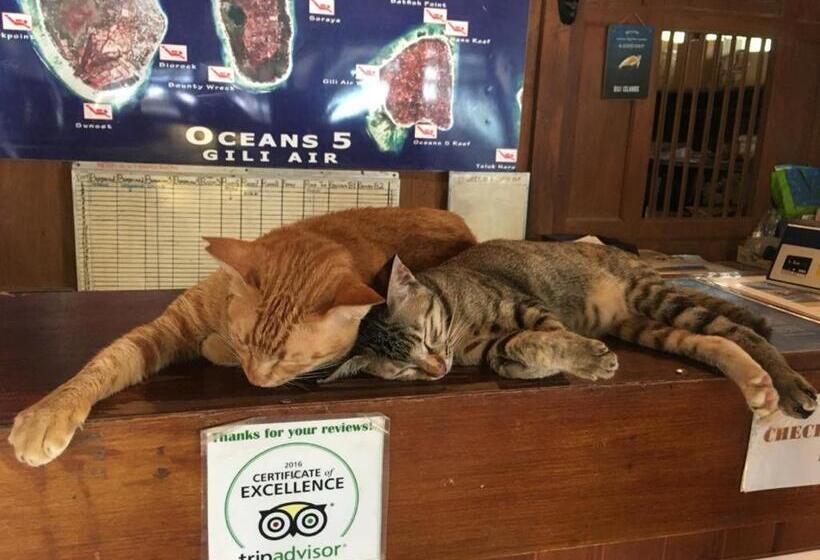 호텔 Oceans 5 Dive Resort