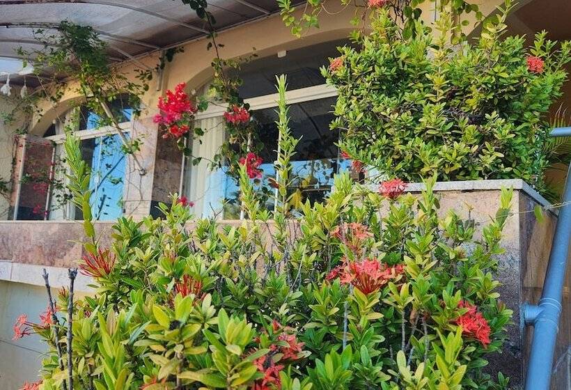 هتل Pousada Ceara  Porto Das Dunas